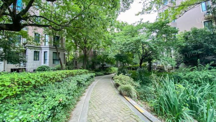 龙游御境外景图