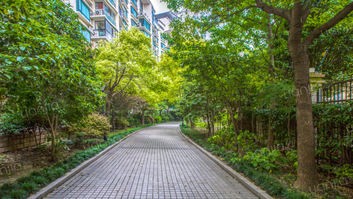 虹桥乐庭外景图