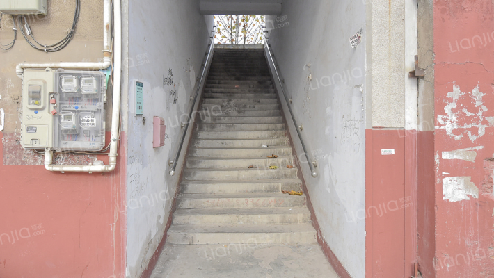 市农场家属院外景图