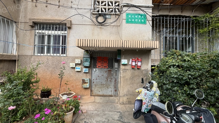 白云路644号外景图