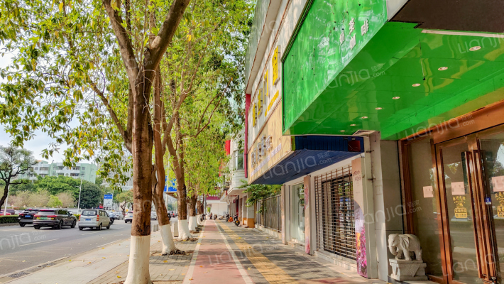 起湾南道外景图