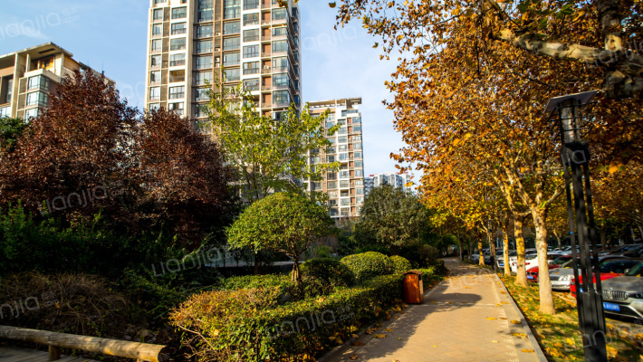 路劲河畔明珠外景图