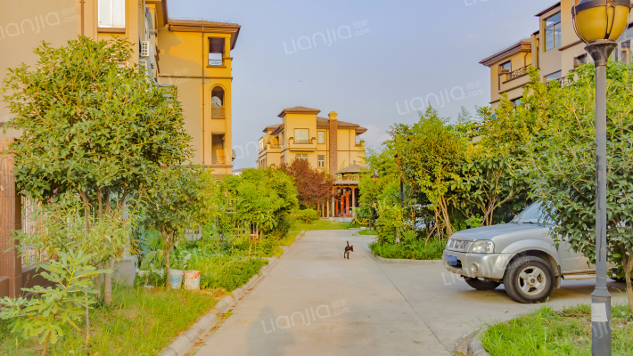 绿野枫景花园外景图