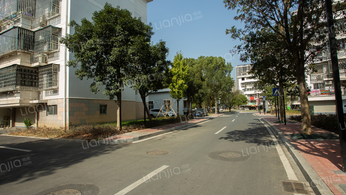 丽湖小区外景图