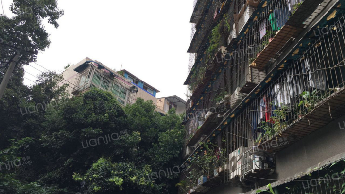 石人南路12号外景图