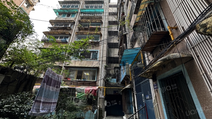 市西路登高商城外景图