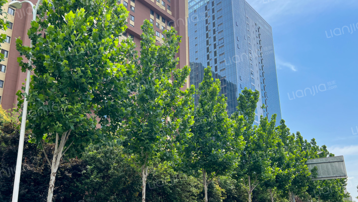 桃源漫步天境外景图