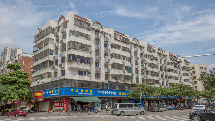 嵩屿金华综合楼外景图