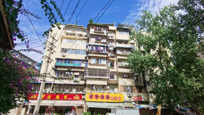 马河湾11号外景图