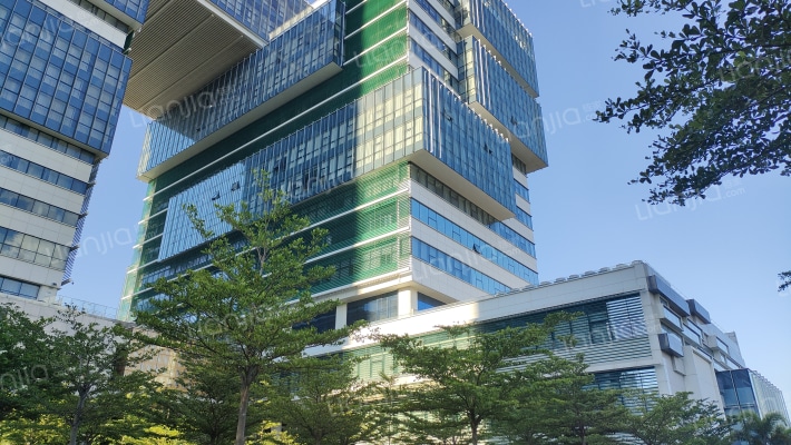 巨制国际外景图