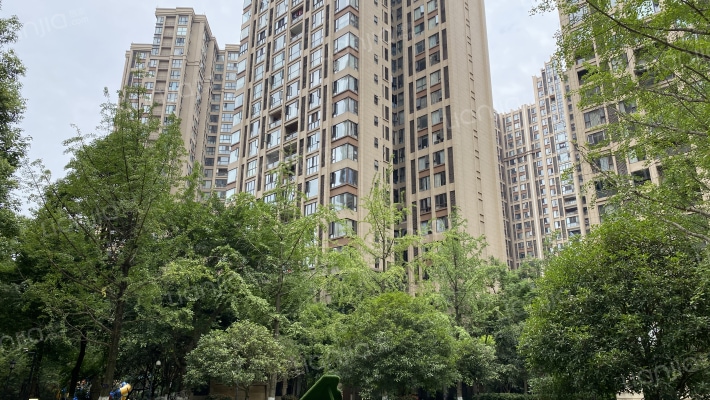 桐梓林壹号外景图