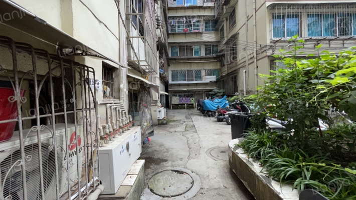 观水路251号院外景图