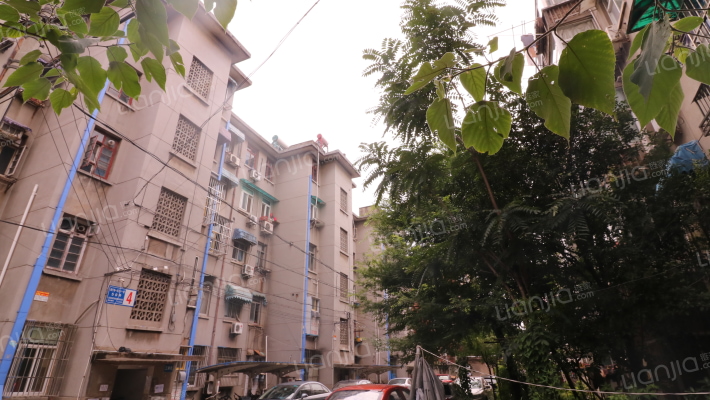 娄子巷131巷外景图