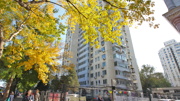 和平西街外景图