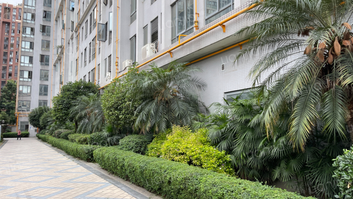 红帆蓝调外景图