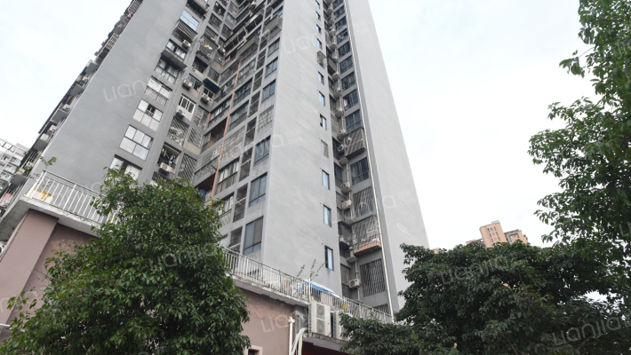 两江铂金时代外景图