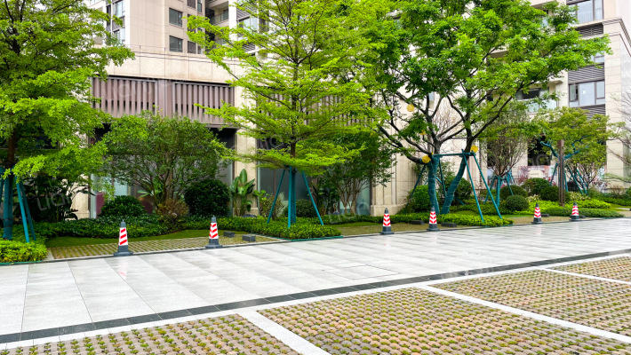 朝安金茂悦外景图