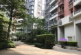 大运城邦15