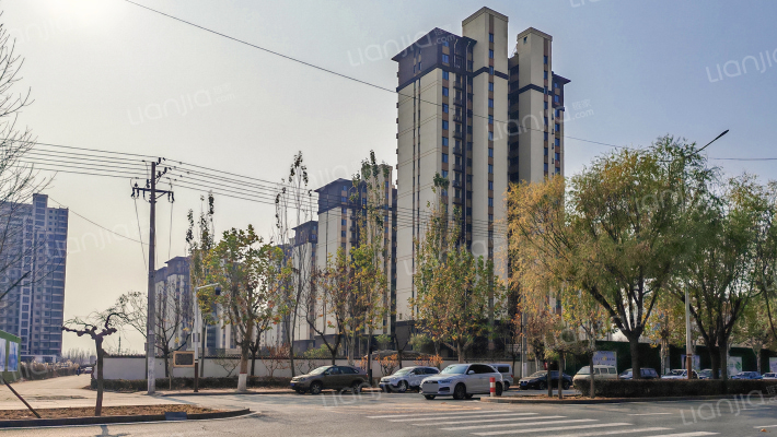 金海梧桐郡外景图