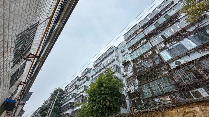 邯山区一中家属院外景图