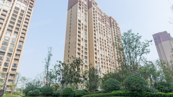 建业菊香里外景图