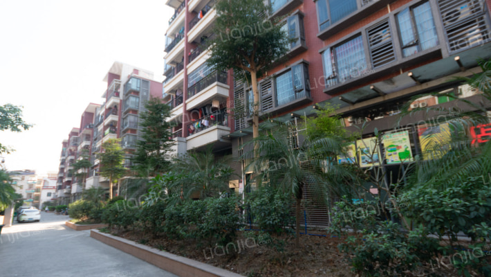 荔园香堤外景图