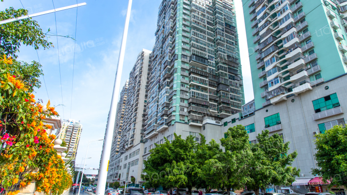 中关委大厦外景图