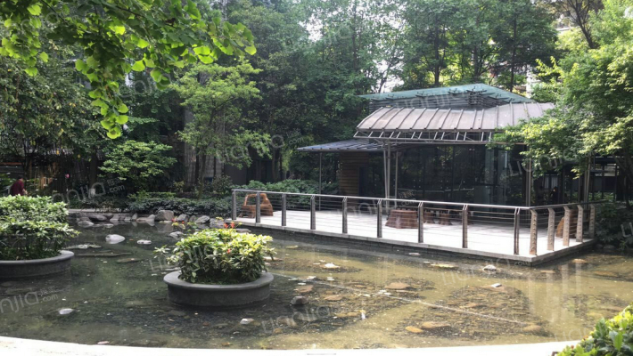 优品道央作外景图