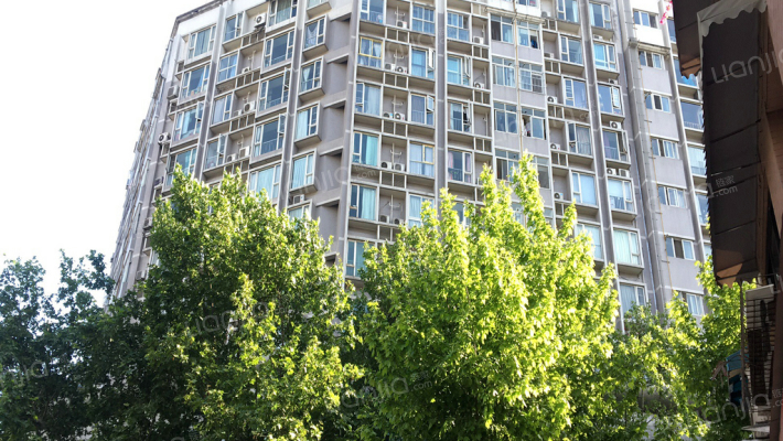 商业街19号外景图