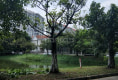 金碧御水山庄6
