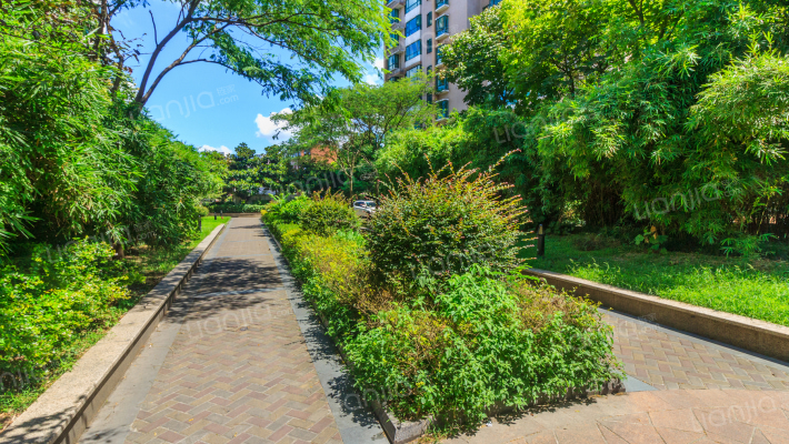 中环花苑外景图