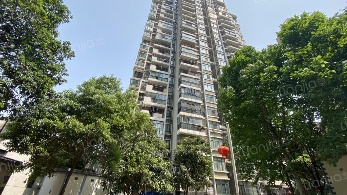 丽岛柳园外景图