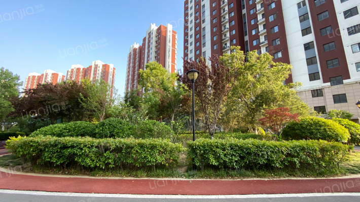 国华新经典外景图