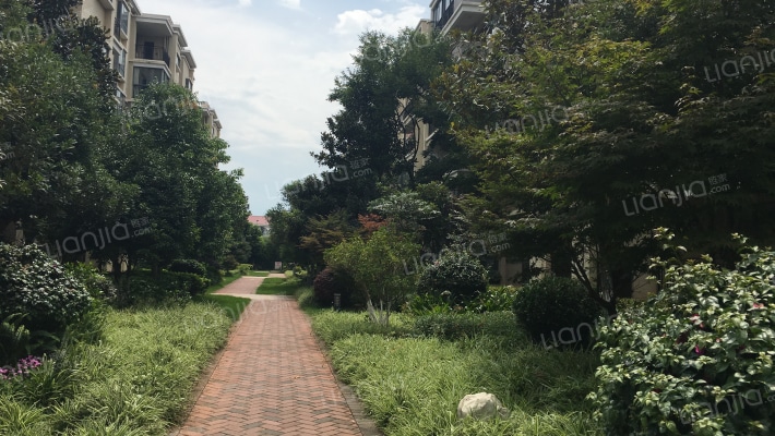 滇池星城星博湾外景图