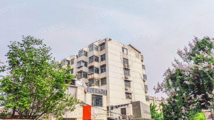 东湖地毯厂宿舍外景图