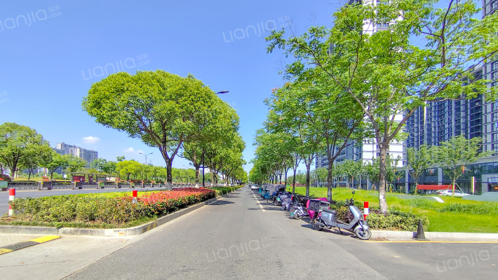 鸿翔云望外景图