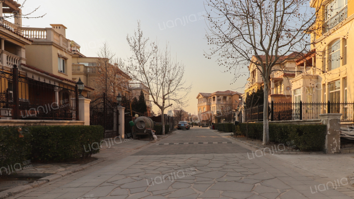 津泽兰湾外景图