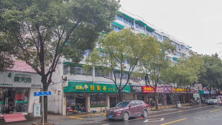 祝家山村外景图