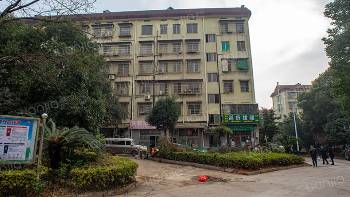 新港新村外景图