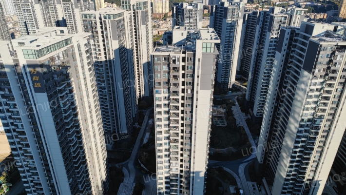 万科城乘峰上外景图