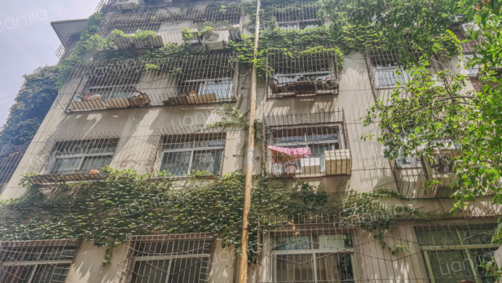 陇海中路70号外景图