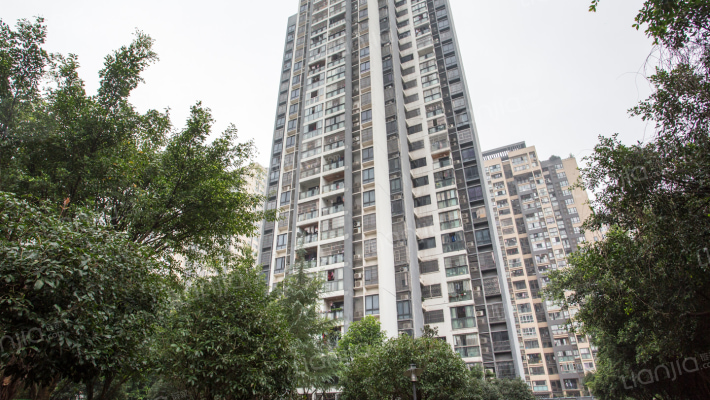 鹿山锦绣外景图