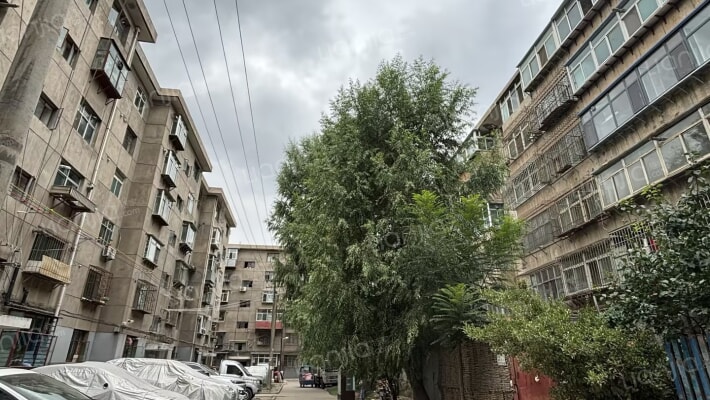 吴家园一毛厂家属院外景图