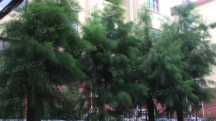 中港新村外景图