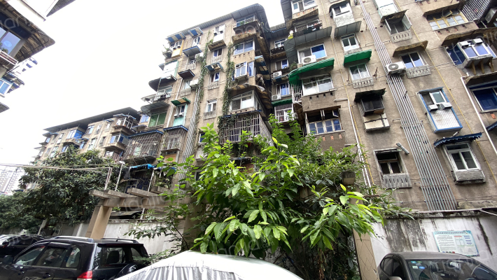 成科路7号外景图