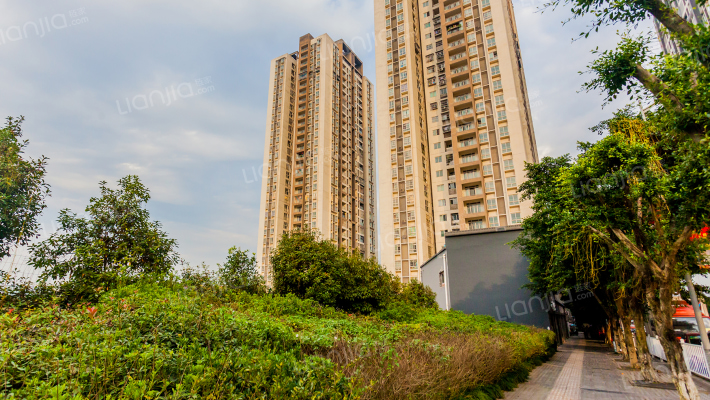 国盛龙腾丰文C区外景图