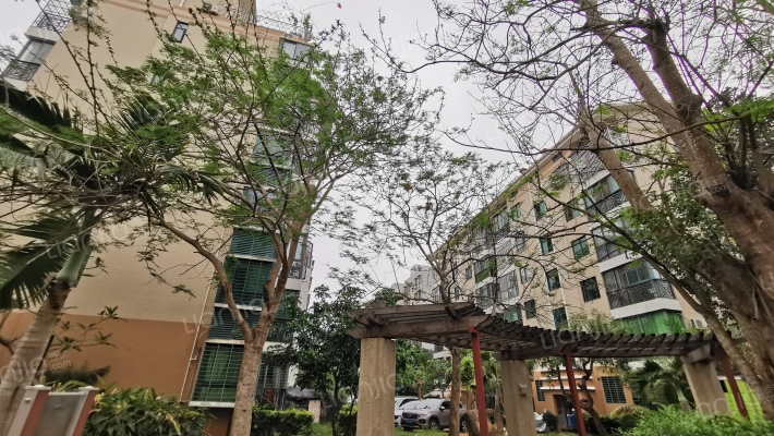 金海雅苑南区外景图