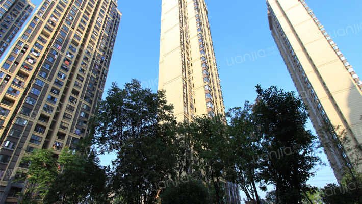 原树提香外景图