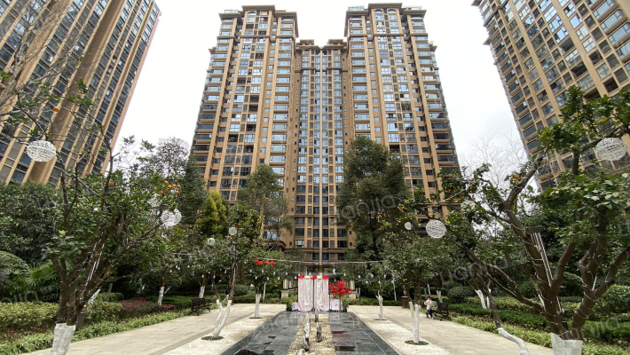 锦巷兰台外景图