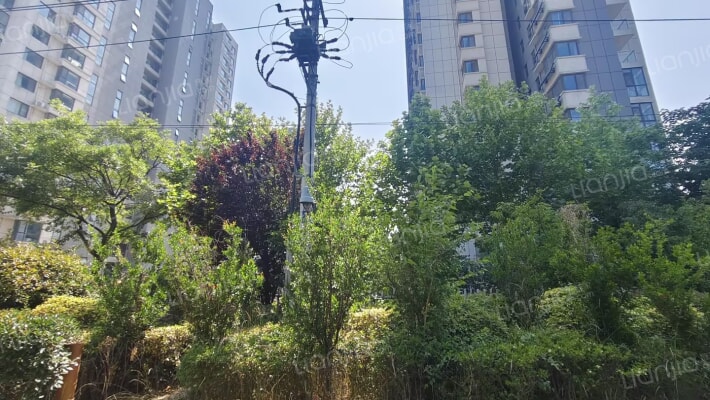 星火阳光四季四期外景图